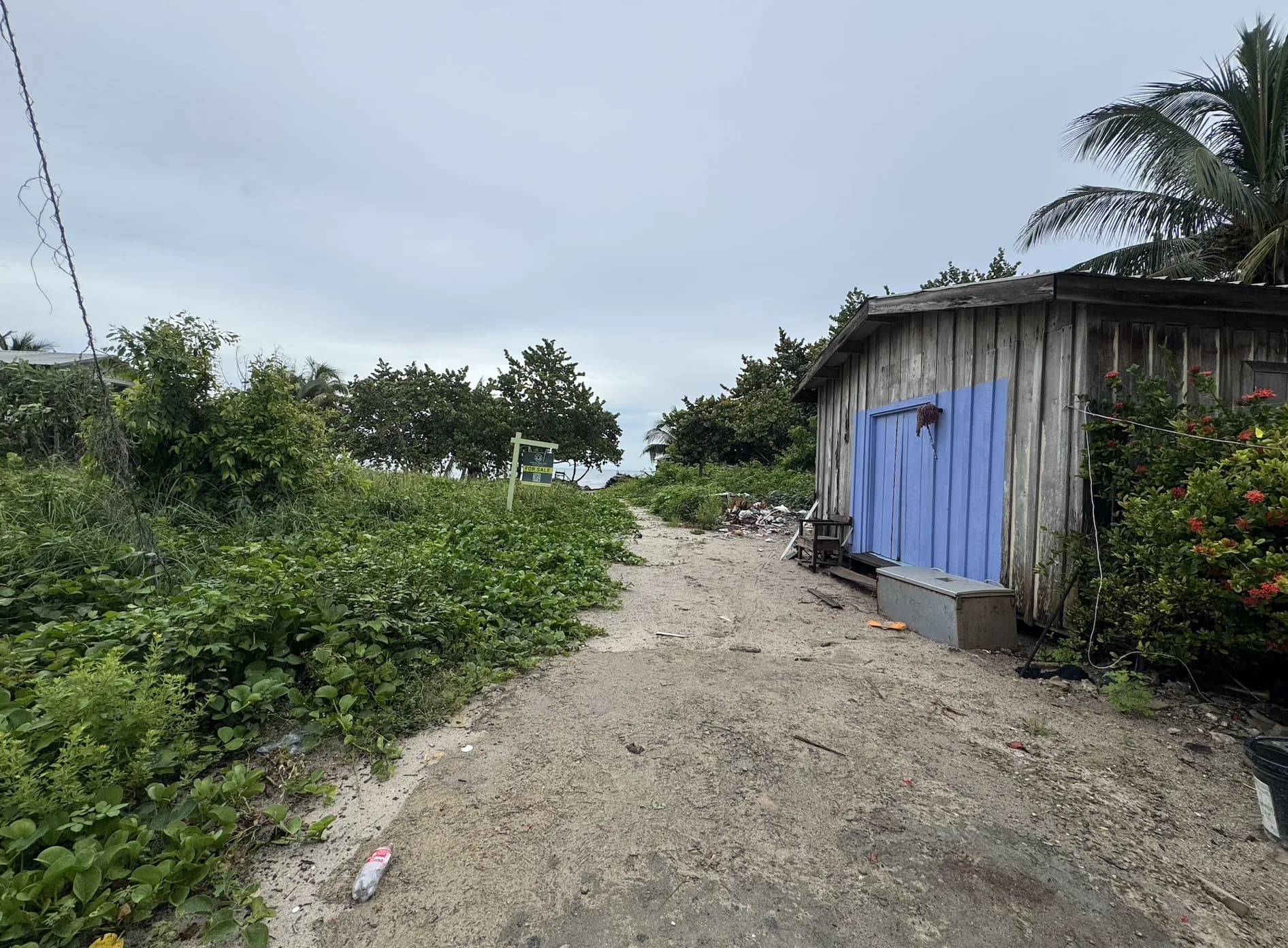 PL0194 – Beach View Lot for Sale – Seine Bight Village | Lot #642 - Photo 4
