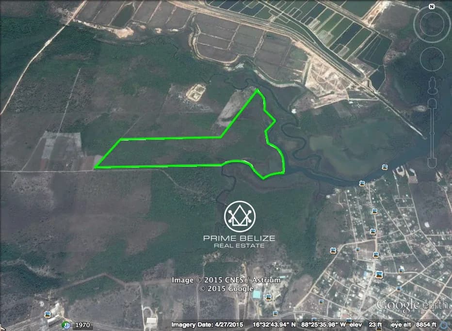 PL0015 – Extraordinary 100 Acre Parcel near Mango Creek - Photo 5