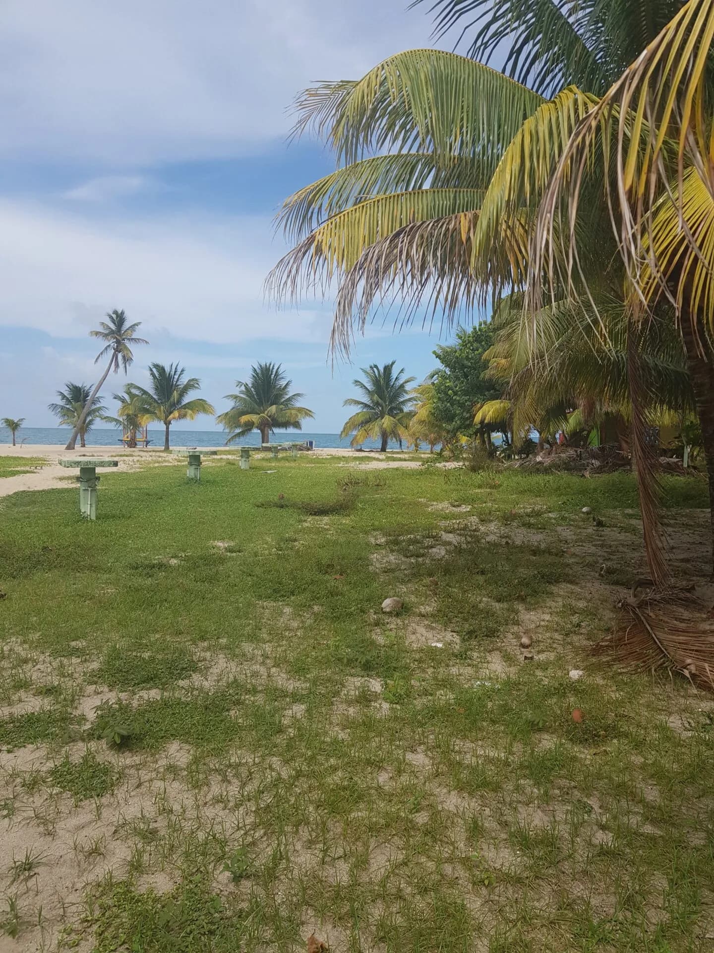 PL0003 – ONLY ROAD TO BEACH IN PLACENCIA VILLAGE - Photo 6