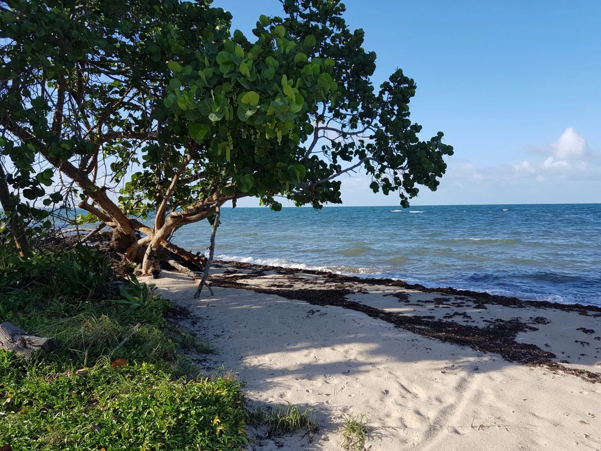 PL0005 – 2.8 Acres – Prime Beachfront Development Parcel in Placencia - Photo 6