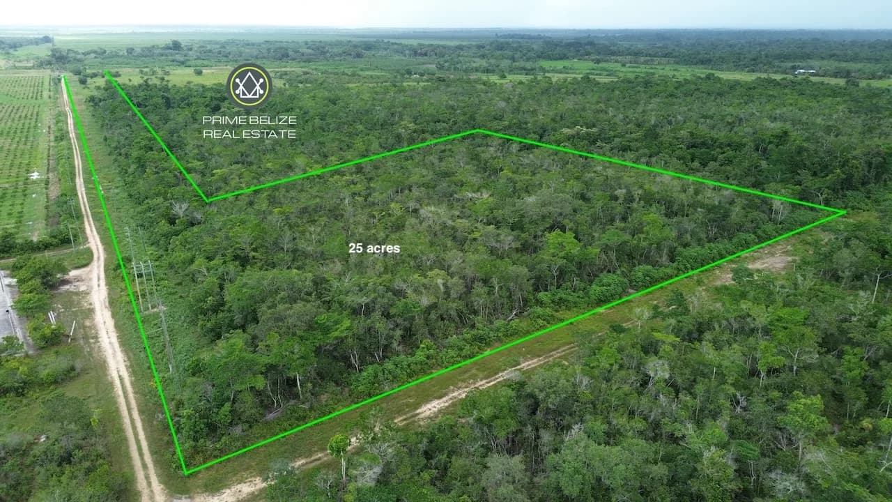 PF0064 – High-Potential 25-Acre Farmland – Just 10 Minutes from Dangriga - Photo 2