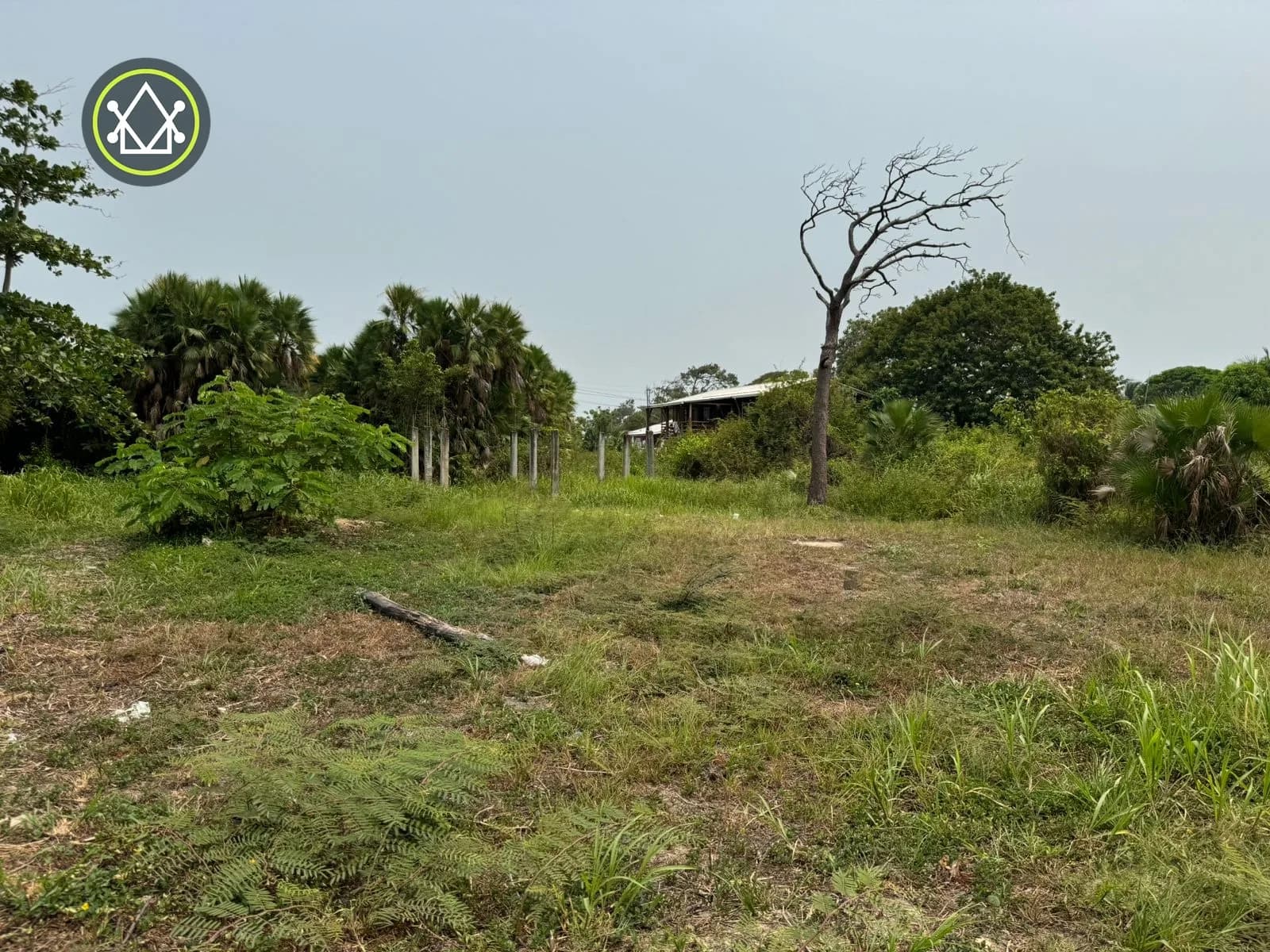 PL0078 – Hopkins Residential/ commercial Lot - Photo 5
