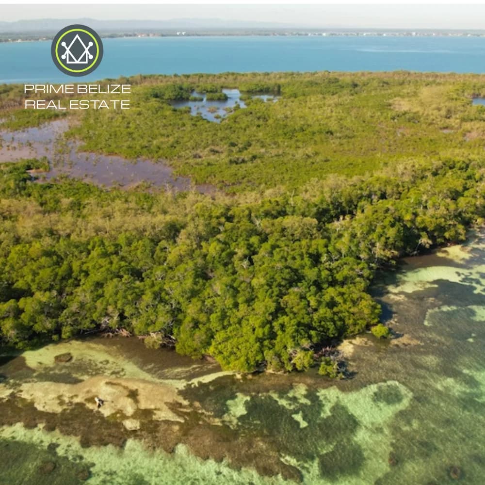 PI0014 – Exclusive Development Opportunity: 43.8-Acre False Caye Island, Just Off Placencia’s Coast - Photo 4