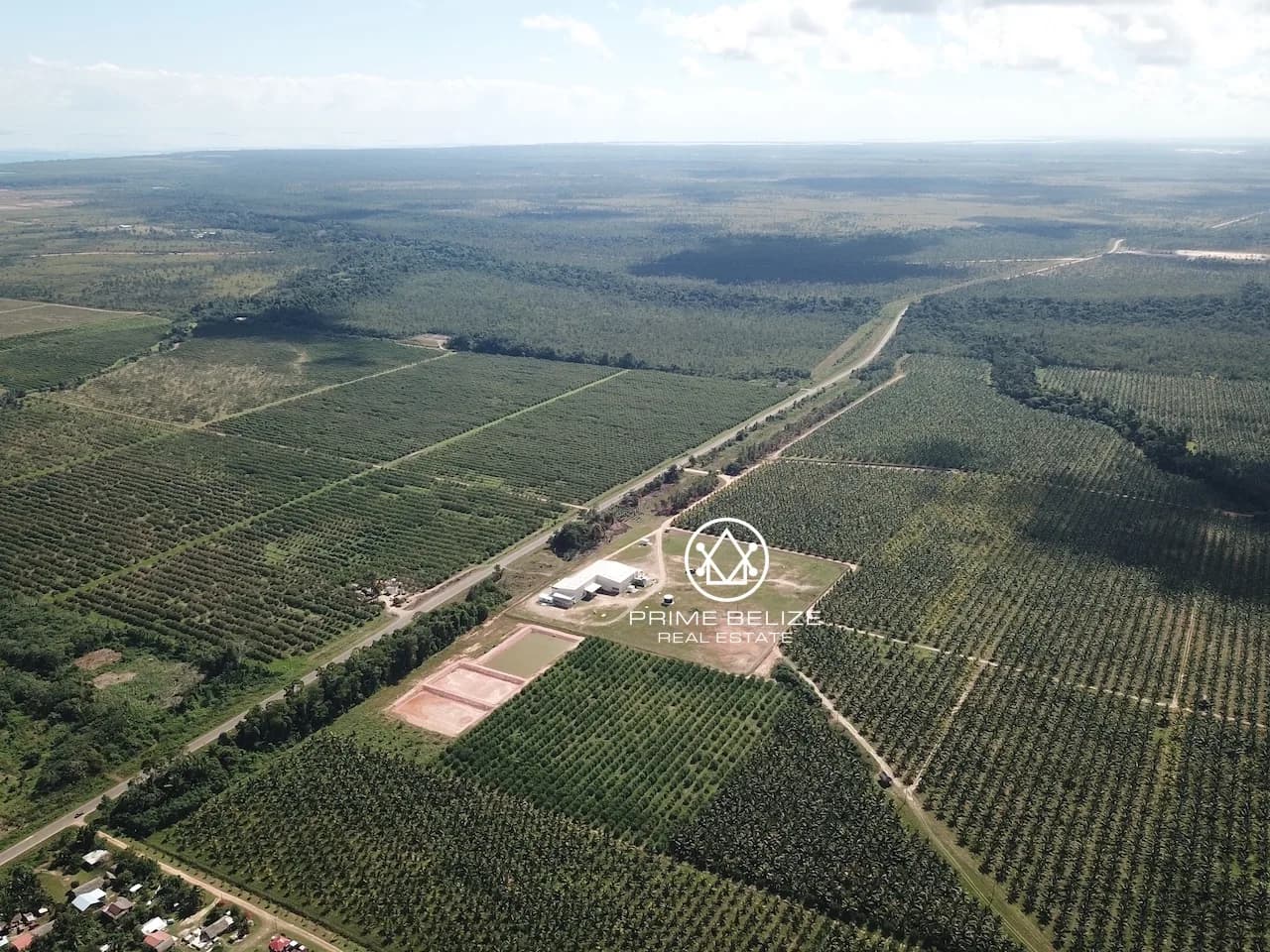 PF0042 – 966 ACRES COCONUTS AND OTHER PRODUCING CROP – STANN CREEK BELIZE - Photo 3