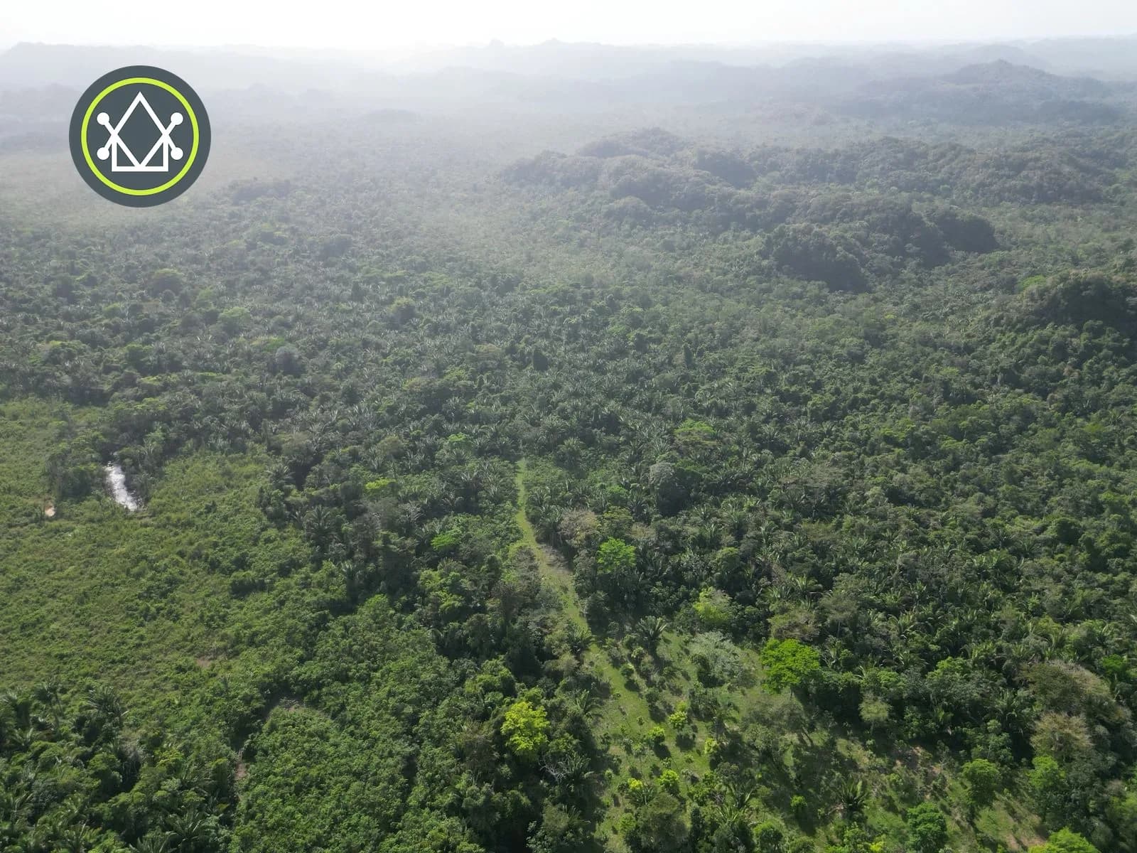 PL0162 – A conservation estate community in Coastal Belize - Photo 6
