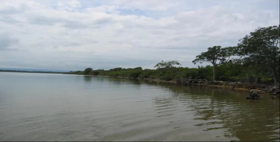 PL0195 – Colson Point – Exclusive 100 Acres of Prime Beach & Lagoon Front Land