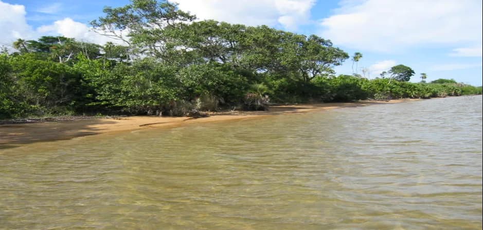 PL0172 – 200 Acres of Untouched Beachfront Near Sapodilla Lagoon