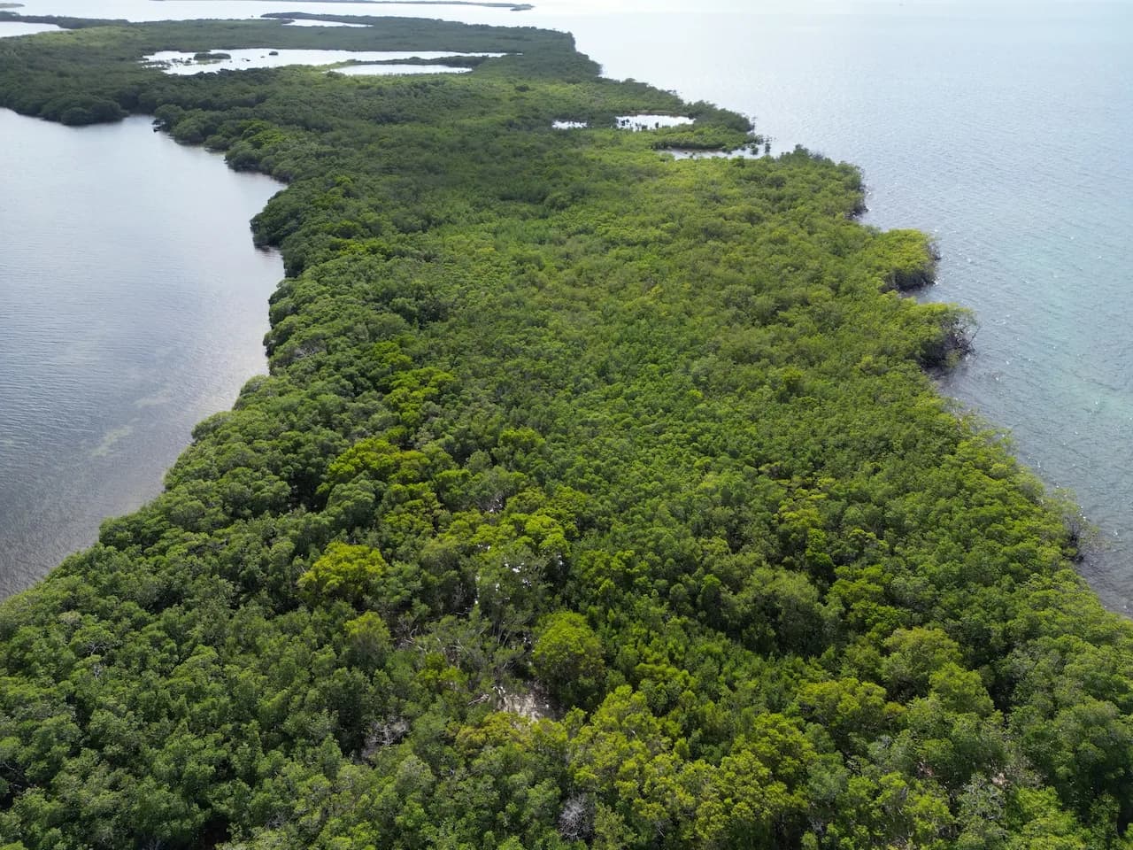 PI0037 – 2.4-Acre Oceanfront Property on the Tobacco Caye Range – Belize - Photo 2