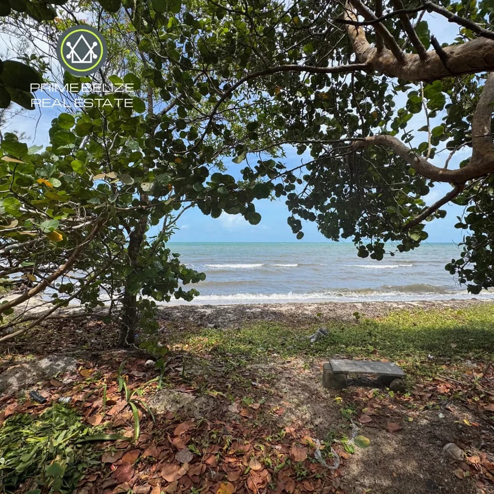 PL0233 – RARE 150FT Beachfront in desired Surfside Area - Photo 4