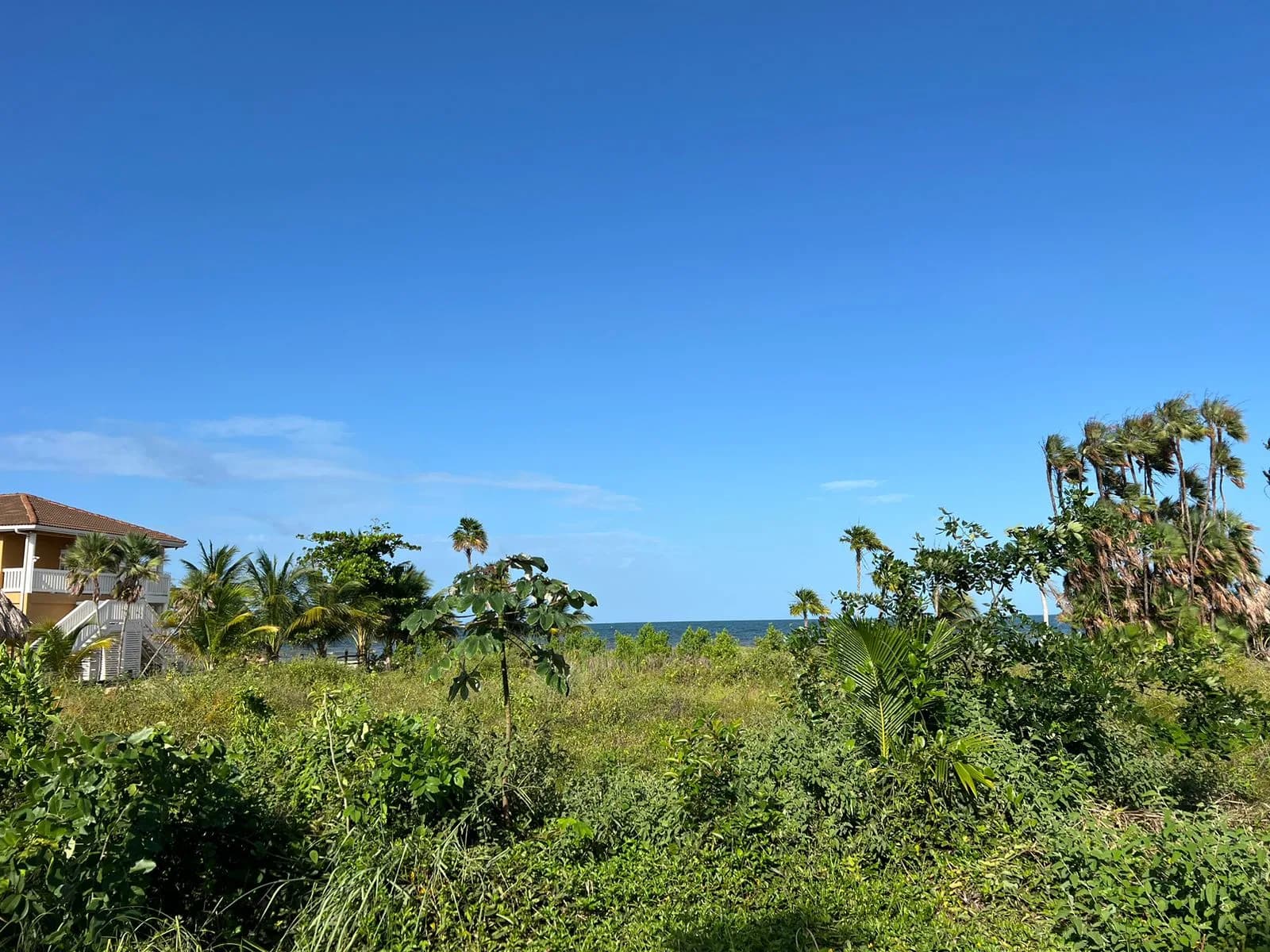 PL0086 – Road Front Lot with Seaview- Caribbean Way, Placencia Peninsula - Photo 8