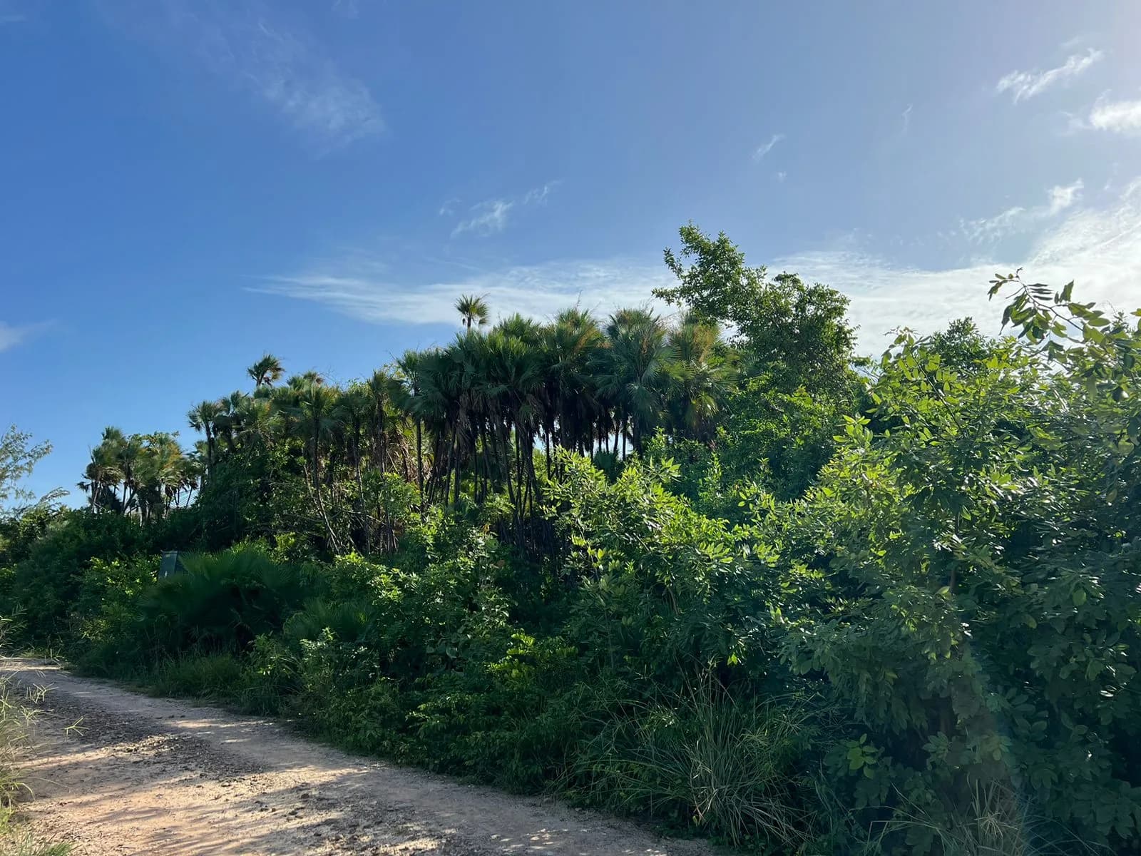 PL0086 – Road Front Lot with Seaview- Caribbean Way, Placencia Peninsula - Photo 7
