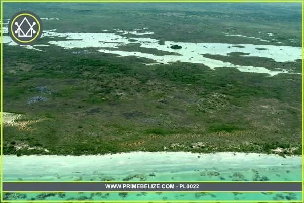 PF0022 – Large Acreage for sale in Belize – 3,500 Acres in Shipstern