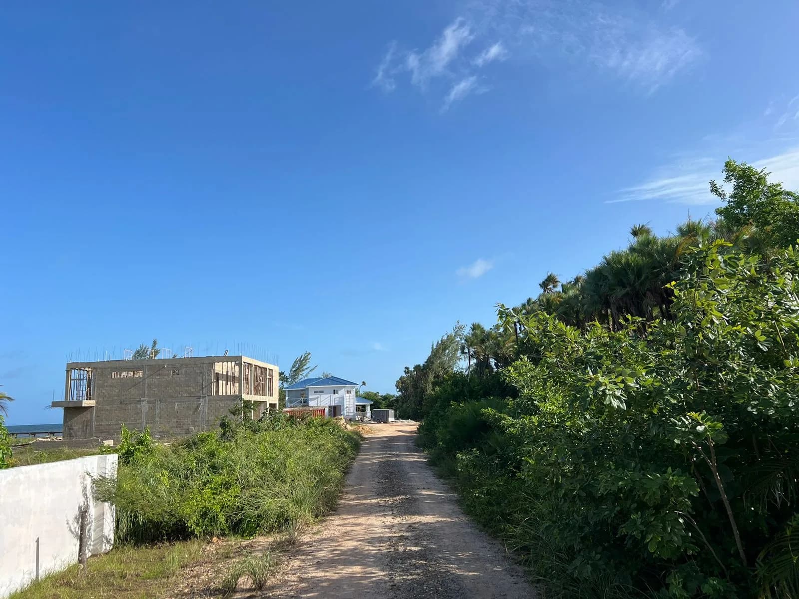 PL0144 – Road Front/Sea-View Lot – 85 ft of Road Frontage Caribbean Way Placencia - Photo 2