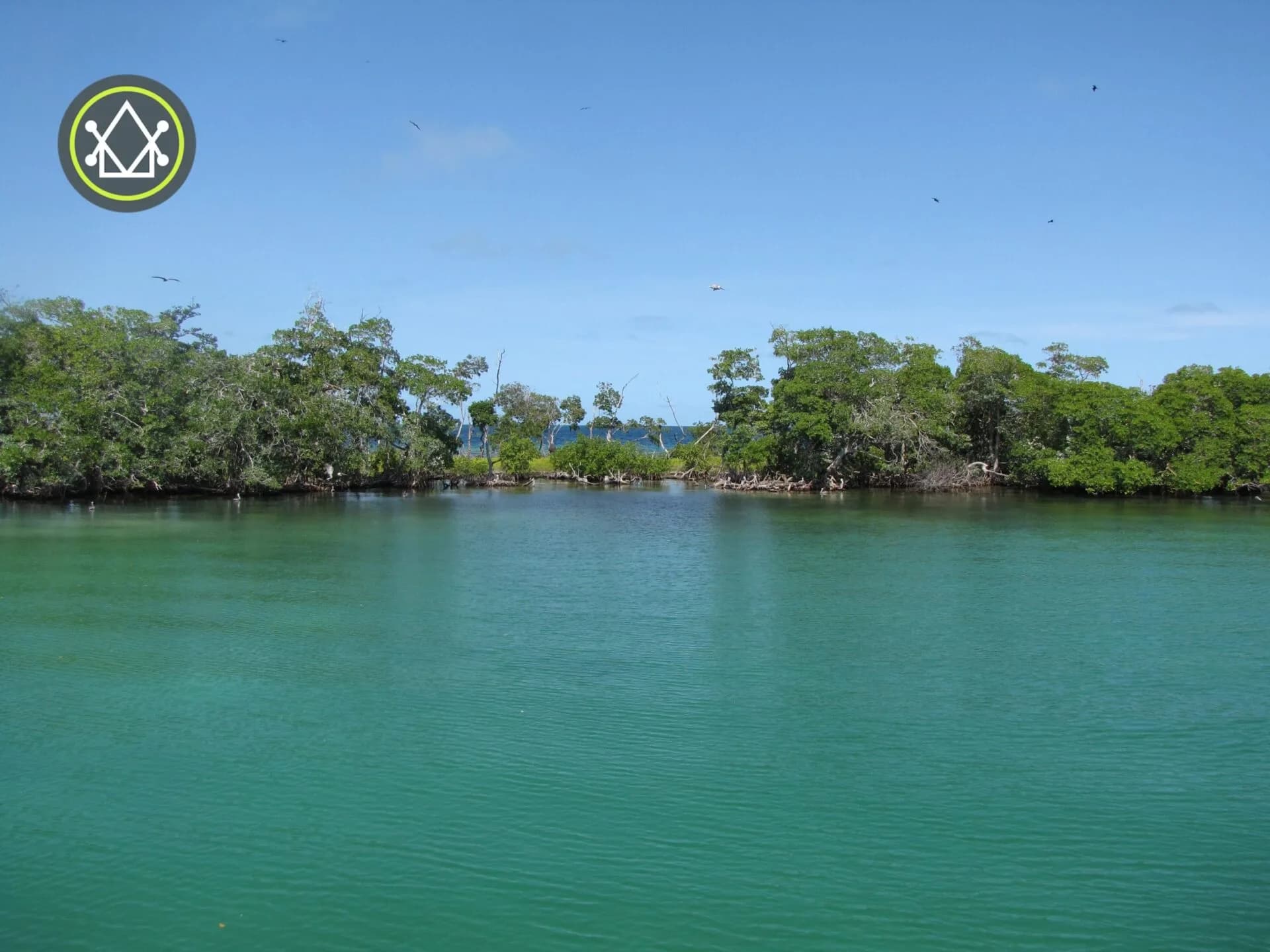 PI0025 – Tarpon Caye – An Exceptional Private Island Retreat - Photo 3