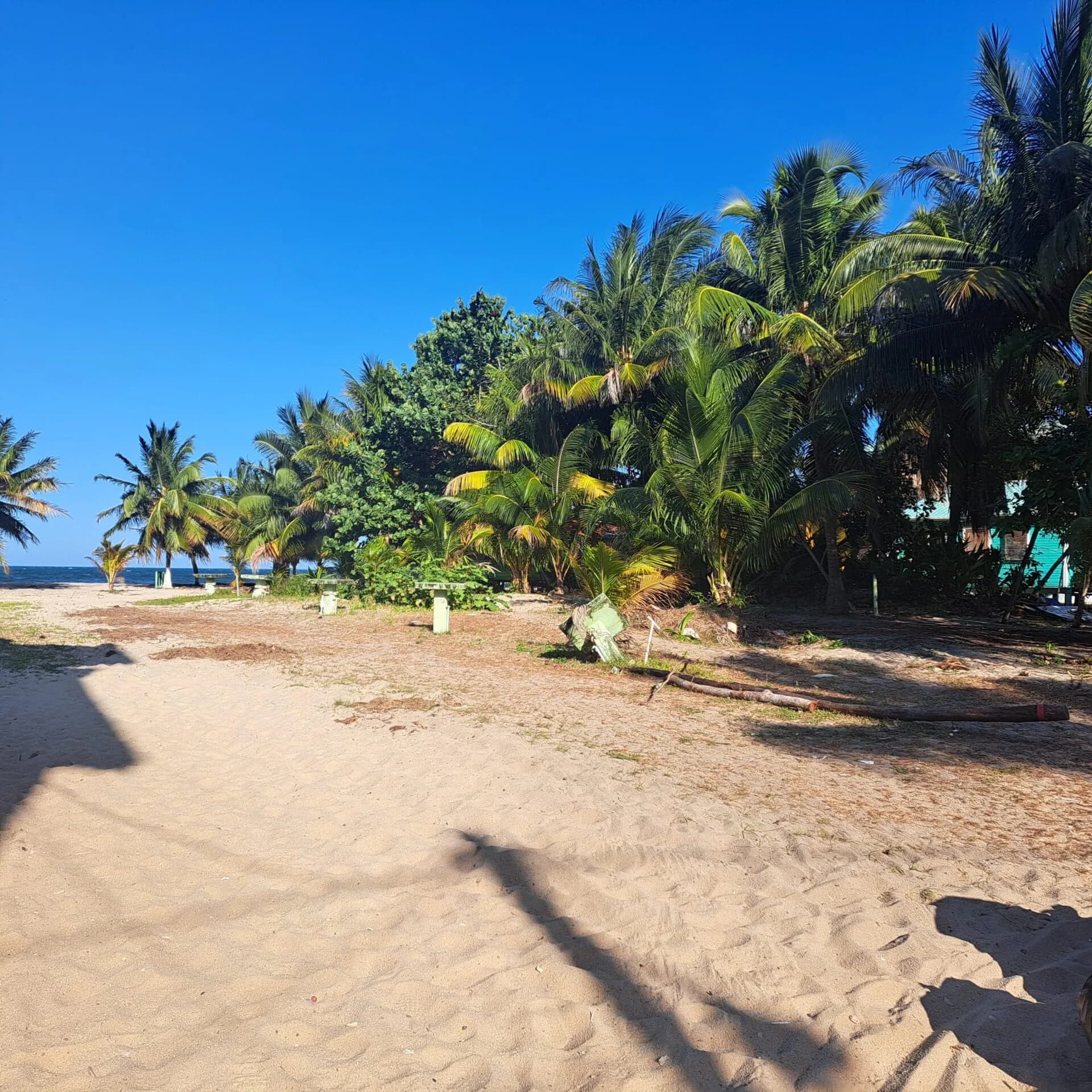 PL0003 – ONLY ROAD TO BEACH IN PLACENCIA VILLAGE - Photo 4