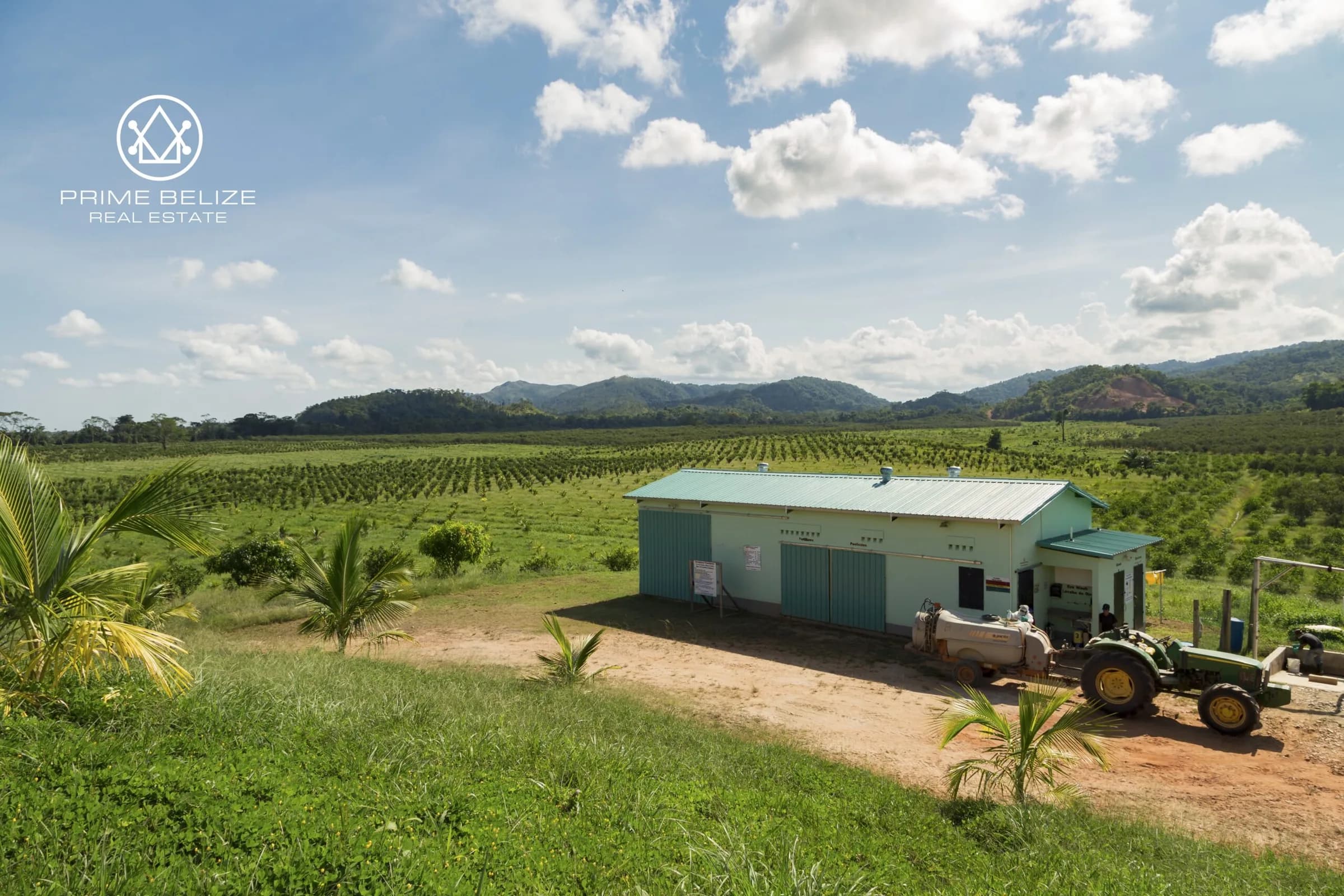 PF0042 – 966 ACRES COCONUTS AND OTHER PRODUCING CROP – STANN CREEK BELIZE - Photo 7