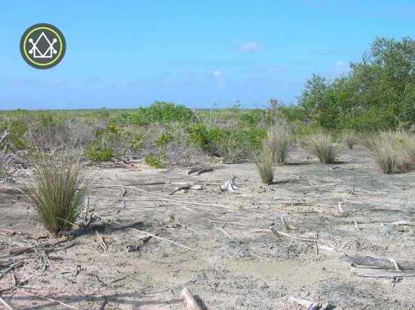 PF0022 – Large Acreage for sale in Belize – 3,500 Acres in Shipstern - Photo 2
