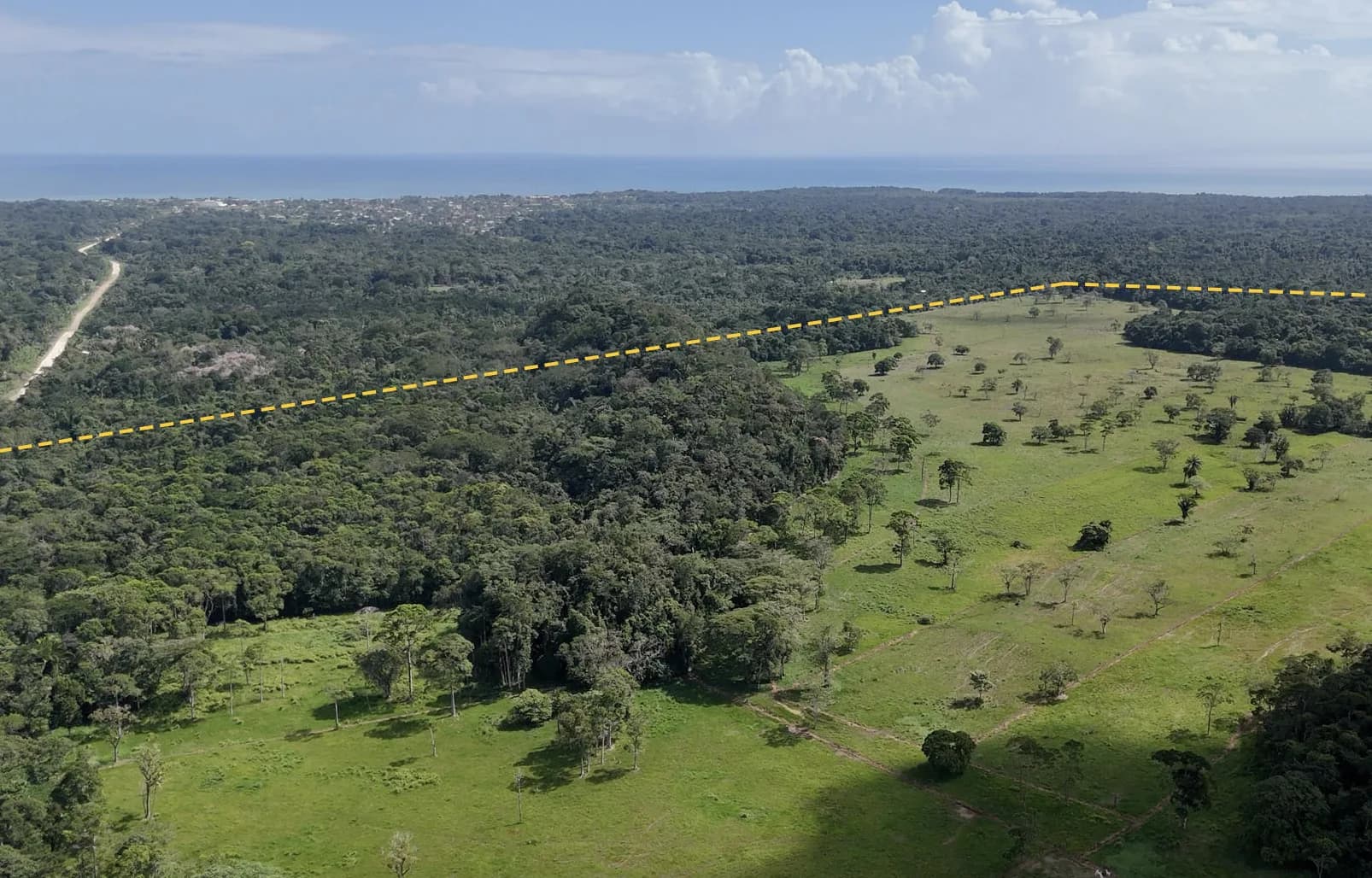 PF0036 – Belize Ranch For Sale – Stunning 470+ Acres with Year-Round Creek and Breathtaking Mountain Views - Photo 7
