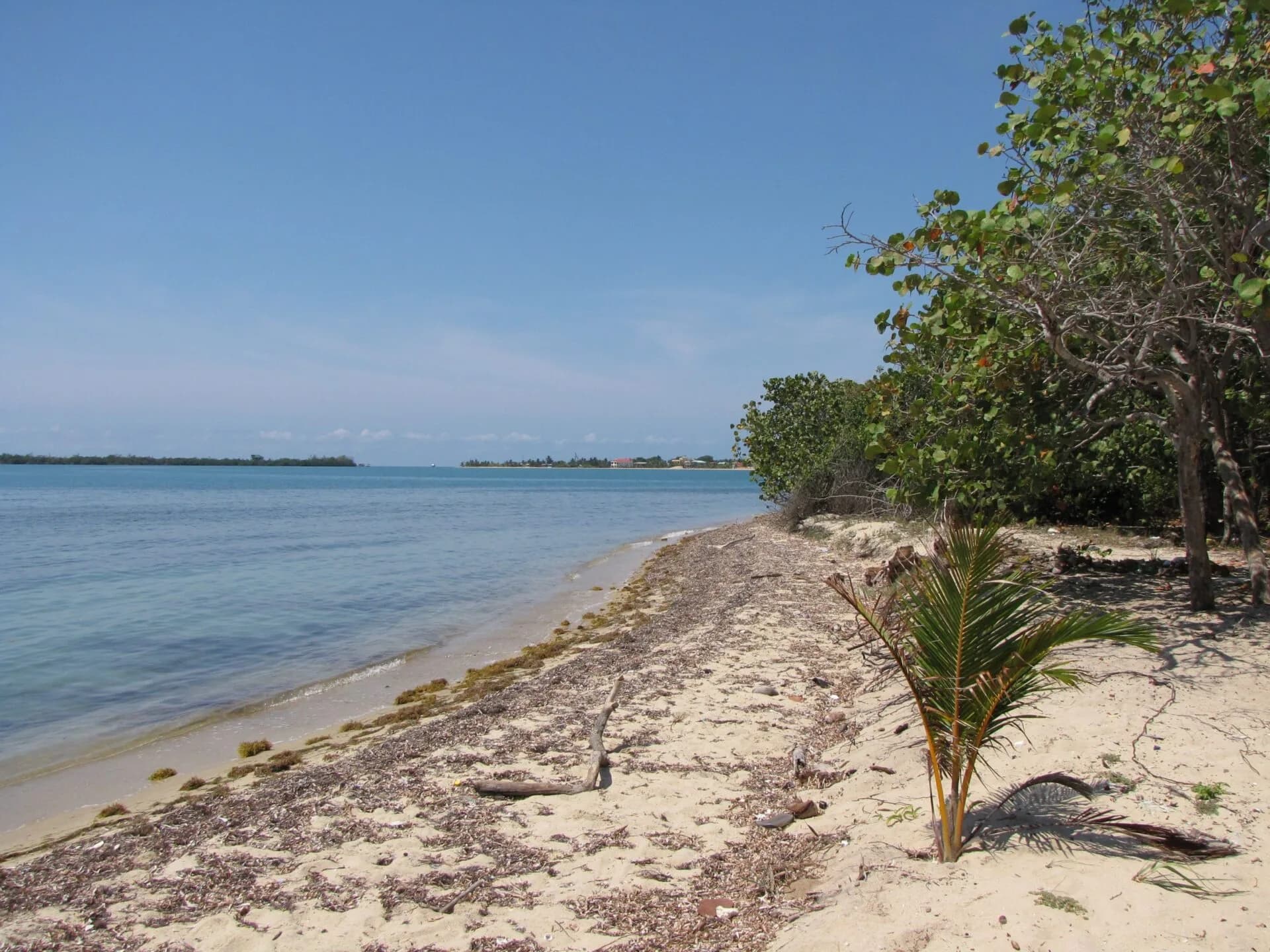 PL0109 – BEACHFRONT DEVELOPMENT – 350+ ft – DISCREET SALE - Photo 4