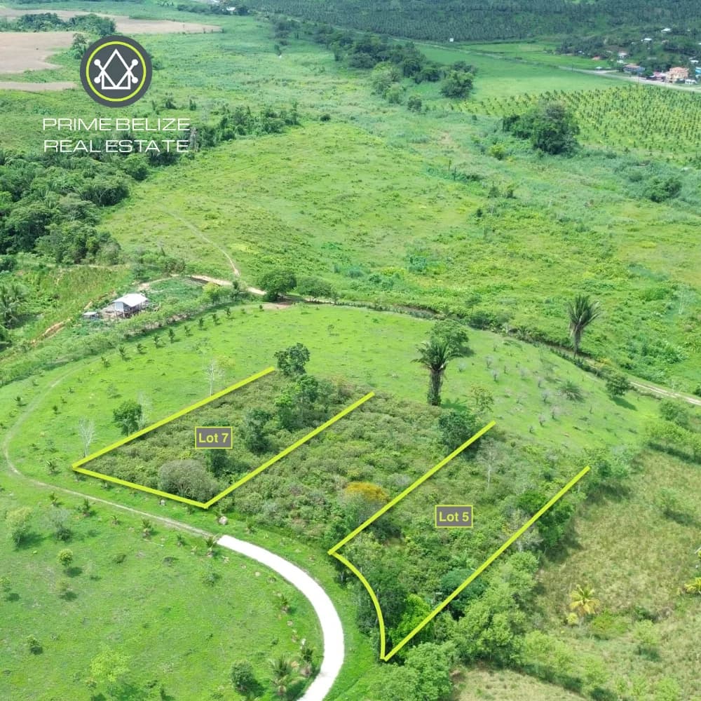 PL0240 – Lot 7 – Motivated Seller! Private 0.453-Acre Lot in Gated Middlesex Community - Photo 3