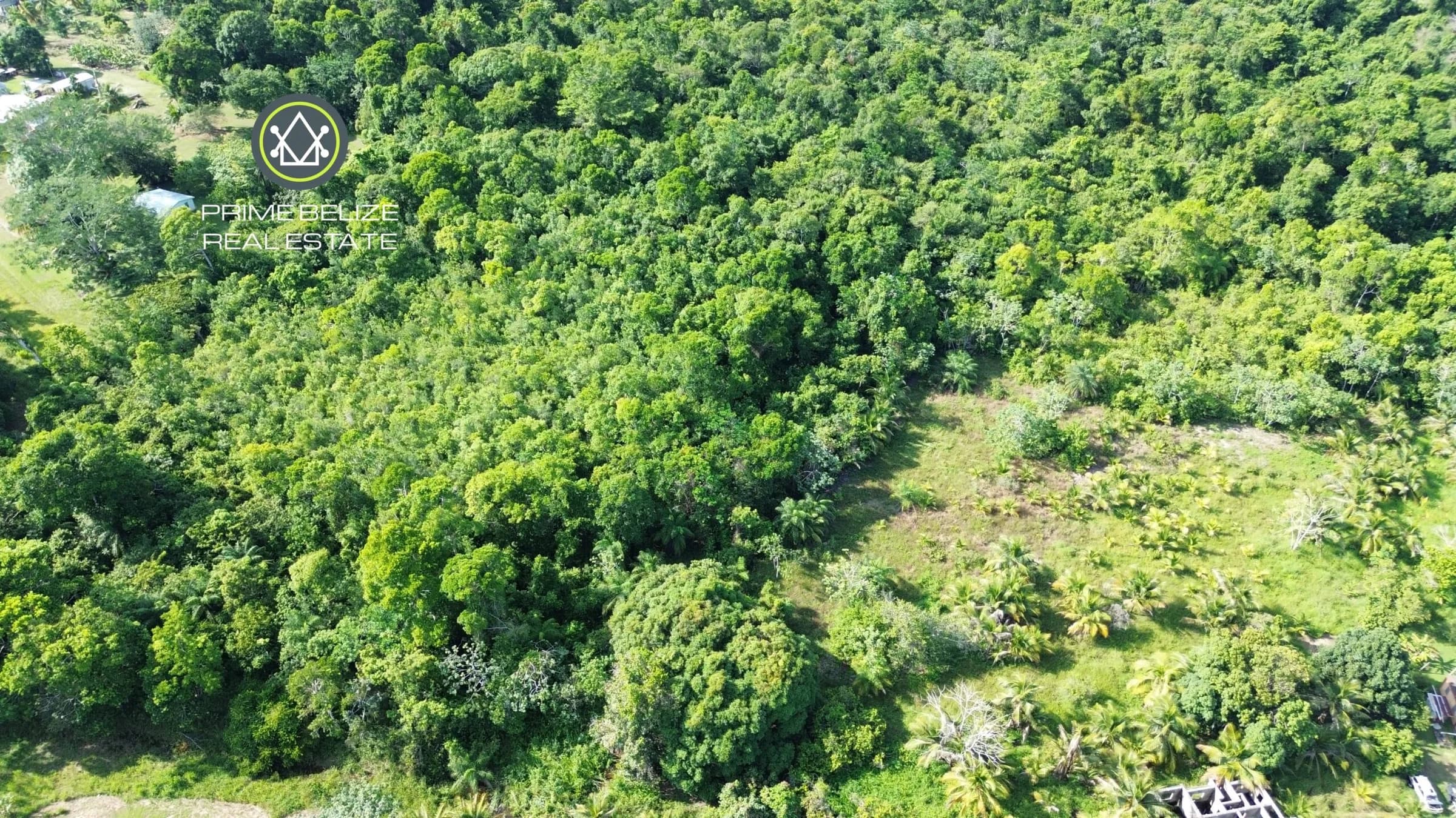 PL0196 – 13.64 Acres of Pristine Land in Sittee River Village – A Nature Lover’s Dream - Photo 4