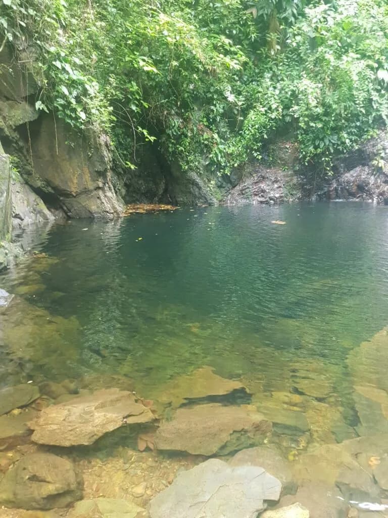 PL0010 – 200 Acre Property presenting an enticing investment opportunity.