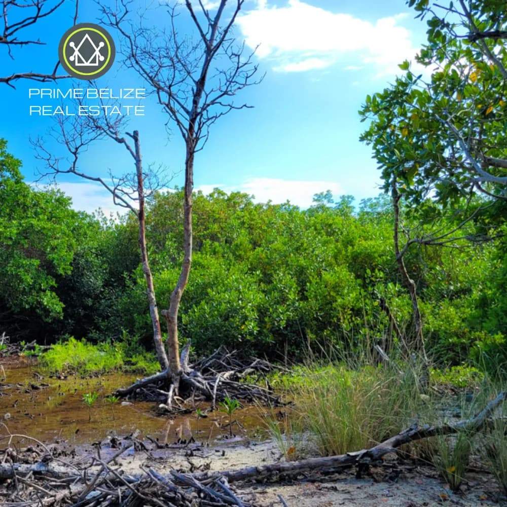 PI0051 – Tobacco Caye Range Plot 5 & 6 For Sale - Photo 5