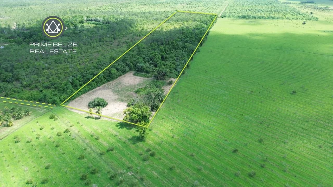 PF0050 – Prime 16-Acres Farm land in Hope Creek – Investment Opportunity! - Photo 3