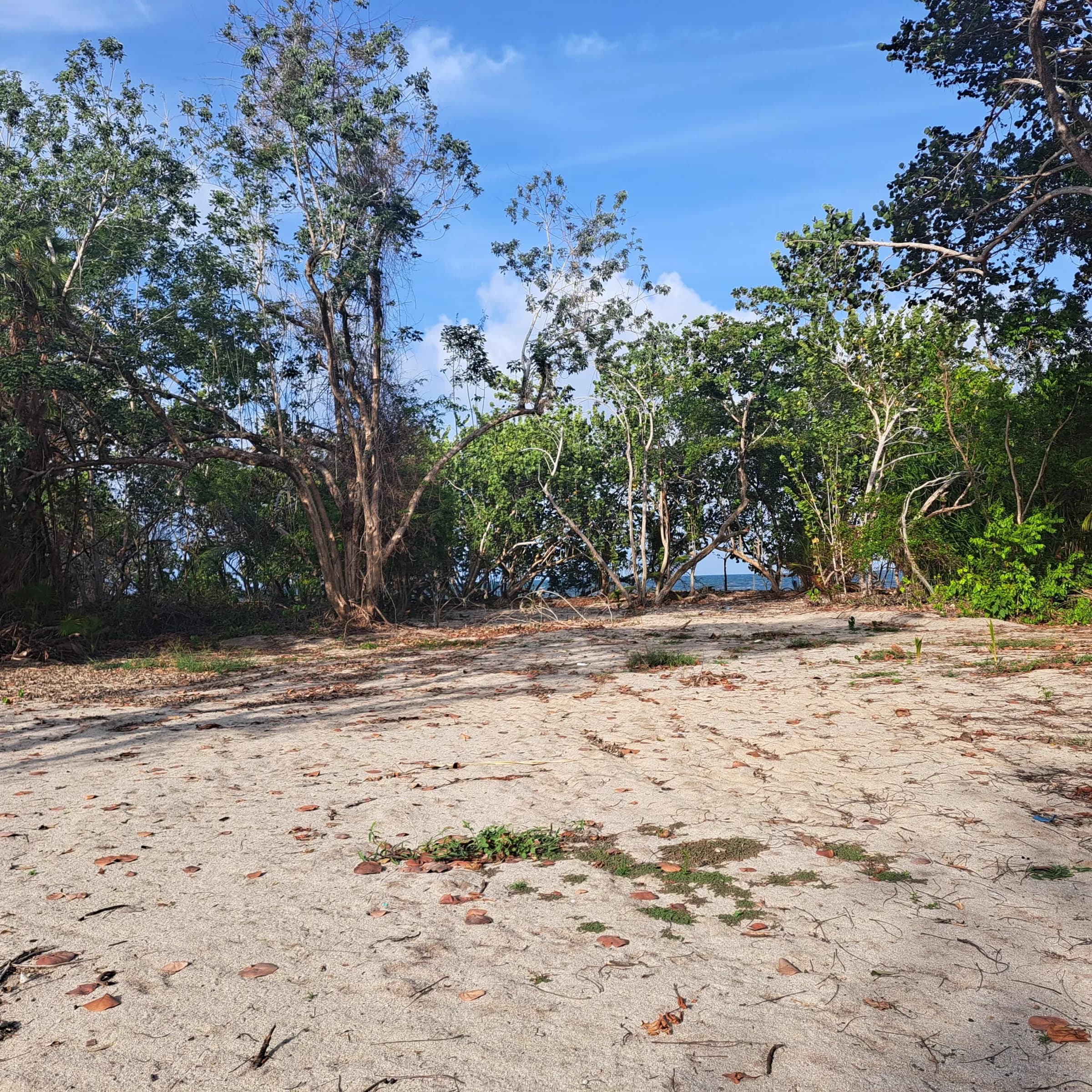 PL0134 – Location Location – Beachfront Lot Near Placencia Airport - Photo 4