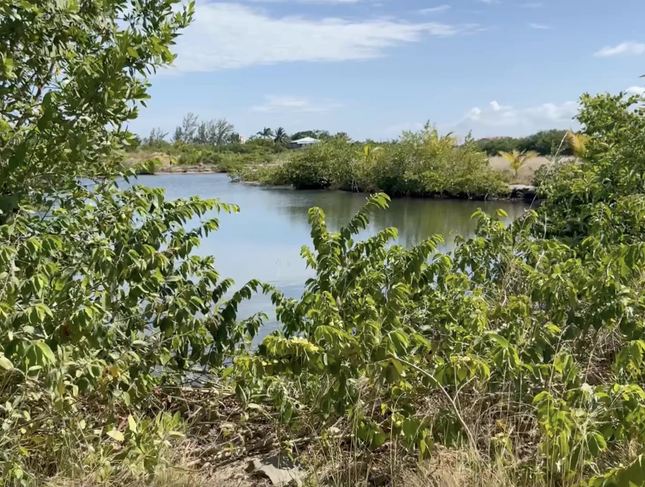PL0175 – Lot 4–Harbour Dock Development-Canal Access - Photo 2