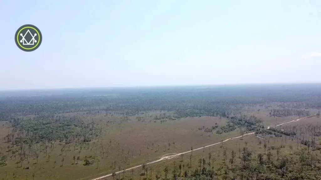 PF0015 – Untouched Riverfront Land for Sale in Monkey River, Toledo - Photo 3