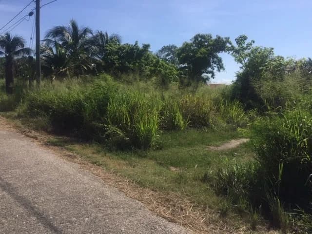 PL0098 – 1.15 Acre Prime Beachfront Property for Sale in Commerce Bight, Dangriga Town - Photo 5