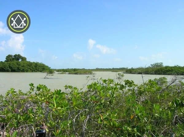 PF0022 – Large Acreage for sale in Belize – 3,500 Acres in Shipstern - Photo 5