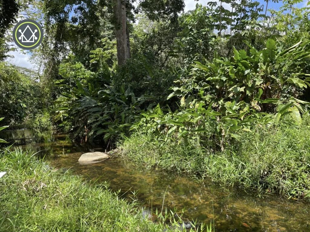 PF0025 – Serene 24-Acre Property with Stream Frontage – Coastal Highway