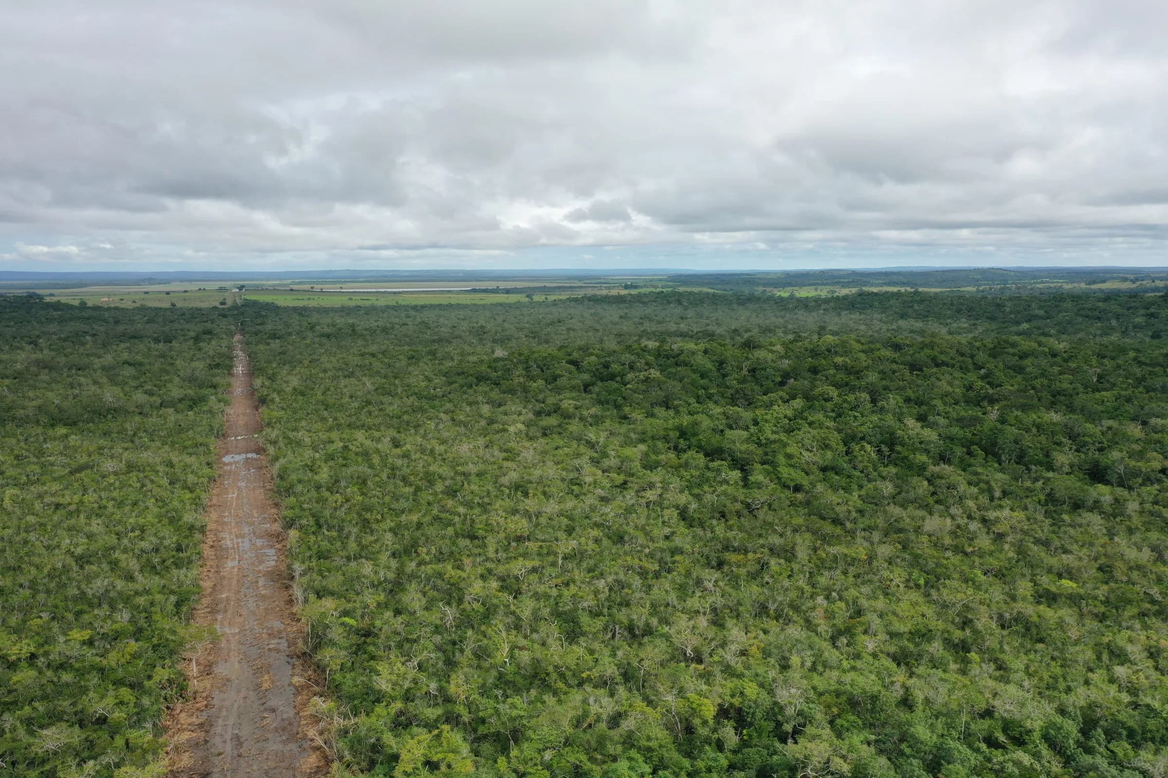 PF0011 – 13,000 acres of exceptional ecological value - Photo 6