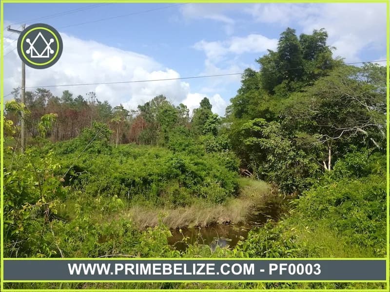 PF0003 – 22 Acres farm land north of Santa Rosa Community