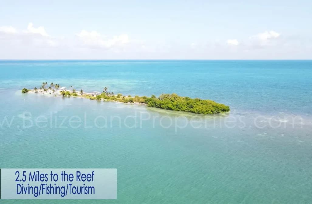 PI0046 – Private 1.44-Acre Island for Sale Off the Coast of Belize - Photo 8