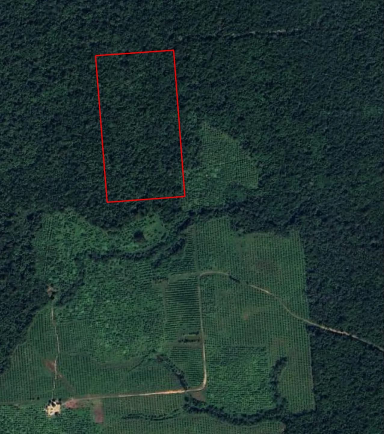 PF0025 – Serene 24-Acre Property with Stream Frontage – Coastal Highway - Photo 3