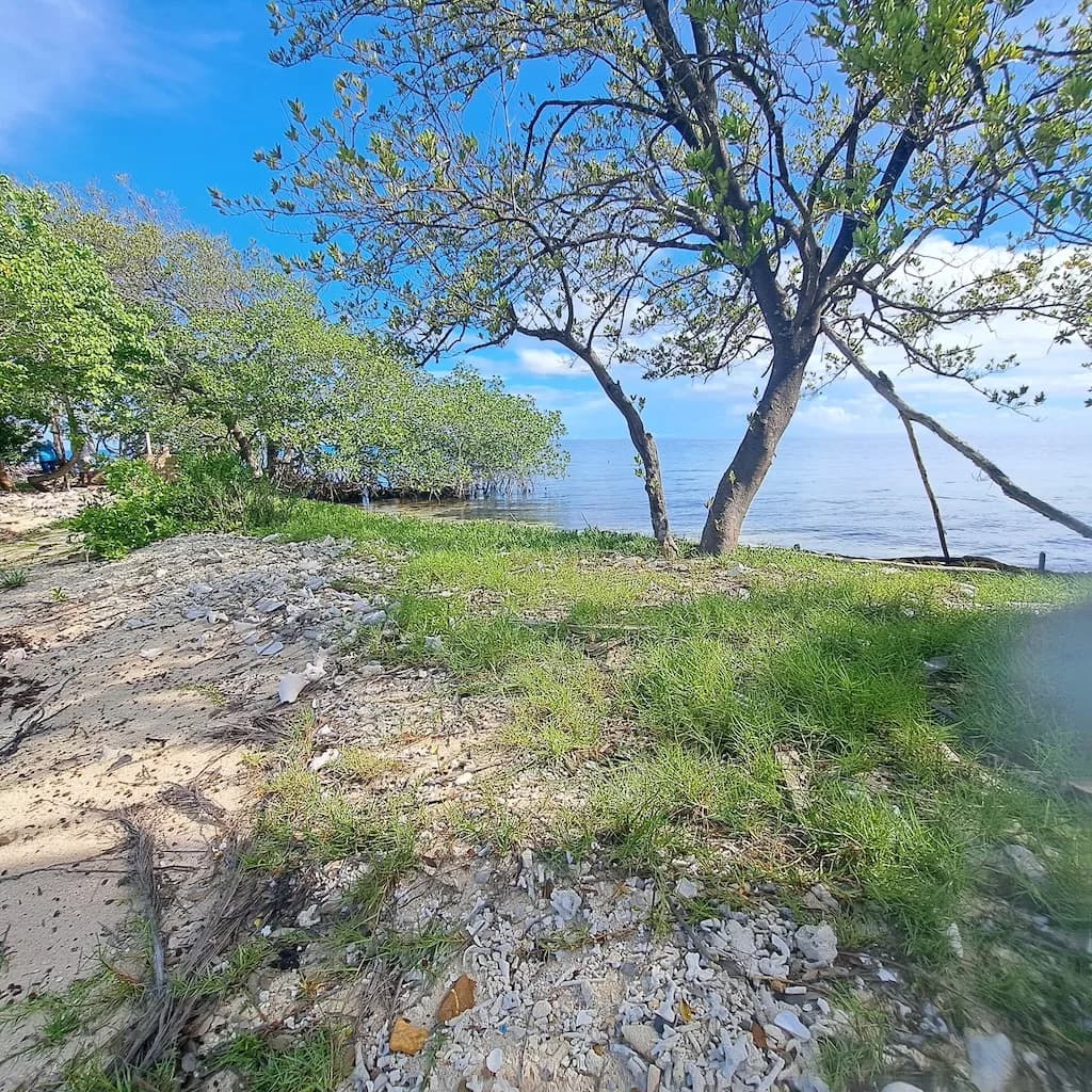 PI0012 – ROUND CAYE 2.69 acres - Photo 4