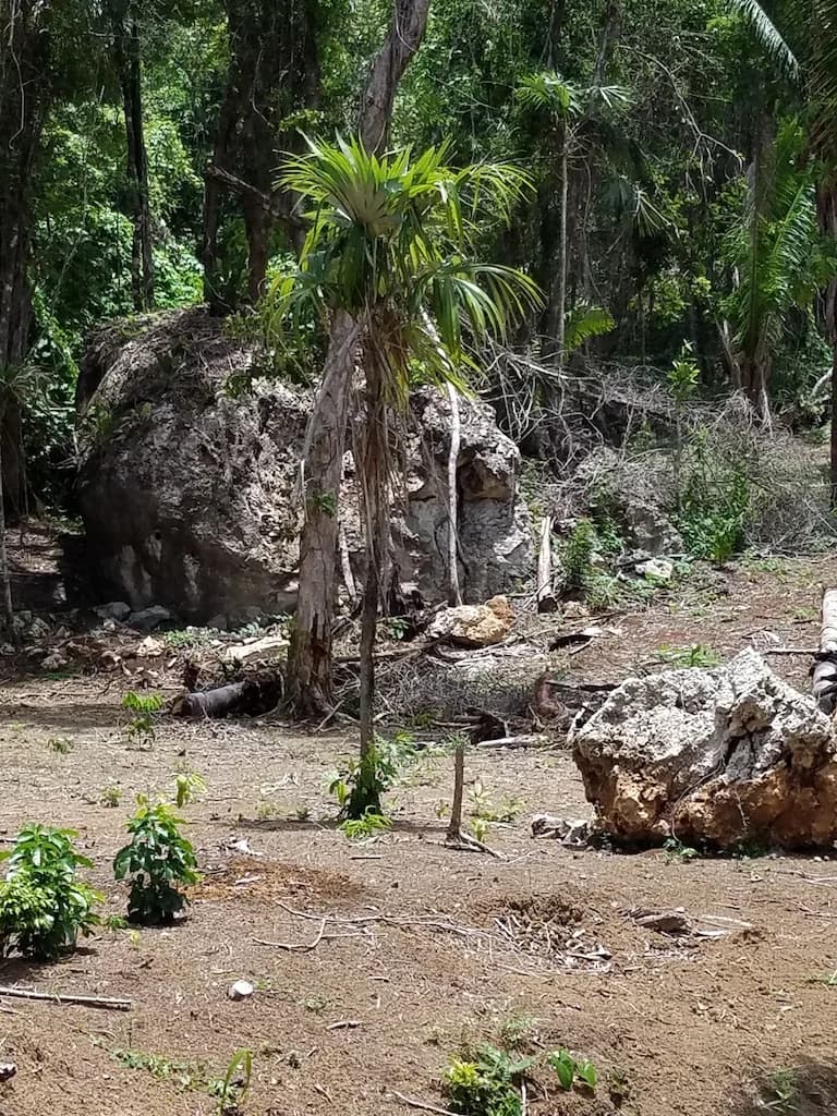 PF0031 – Discover the Potential of this 65 Acres Unique Property
