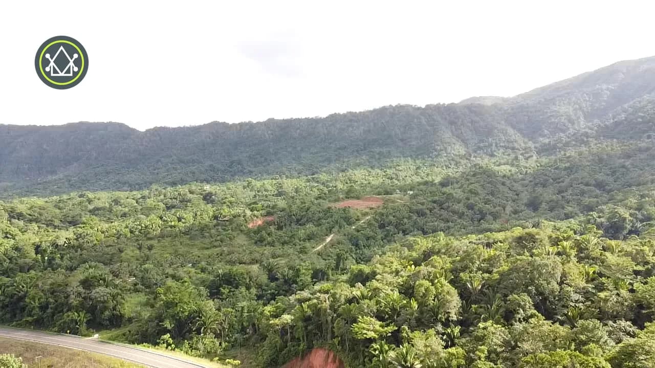 PF0038 – 30 Acres Hummingbird Highway - Photo 4
