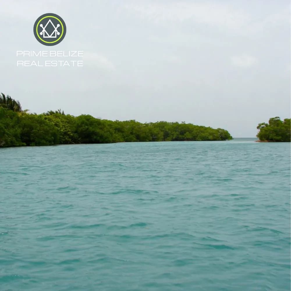 PI0052 – Morgan’s Caye – An Exceptional Private Island Opportunity - Photo 4