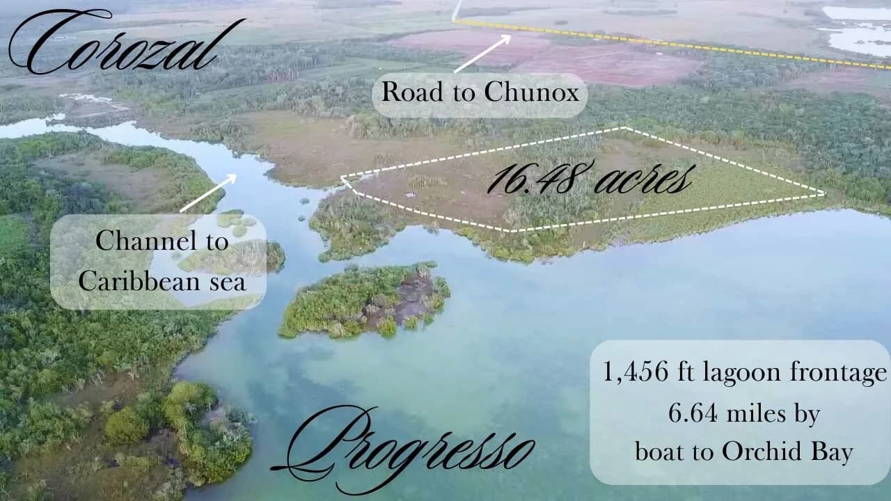 PL0069 – Progresso 16.48 acres waterfront - Photo 2