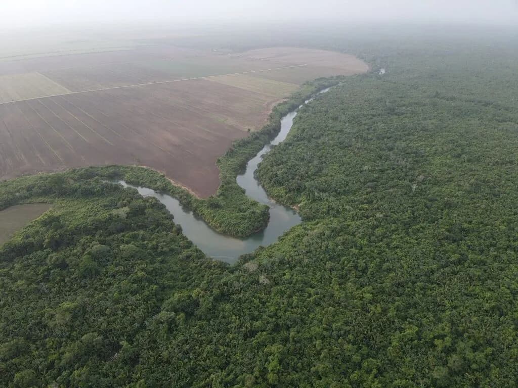 PF0010 – Fertile Farmland 9,207.85 Acres for Sale in Belize – Only $1,200 USD per Acre!