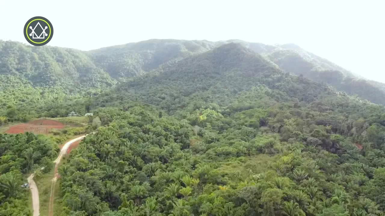 PF0038 – 30 Acres Hummingbird Highway - Photo 2