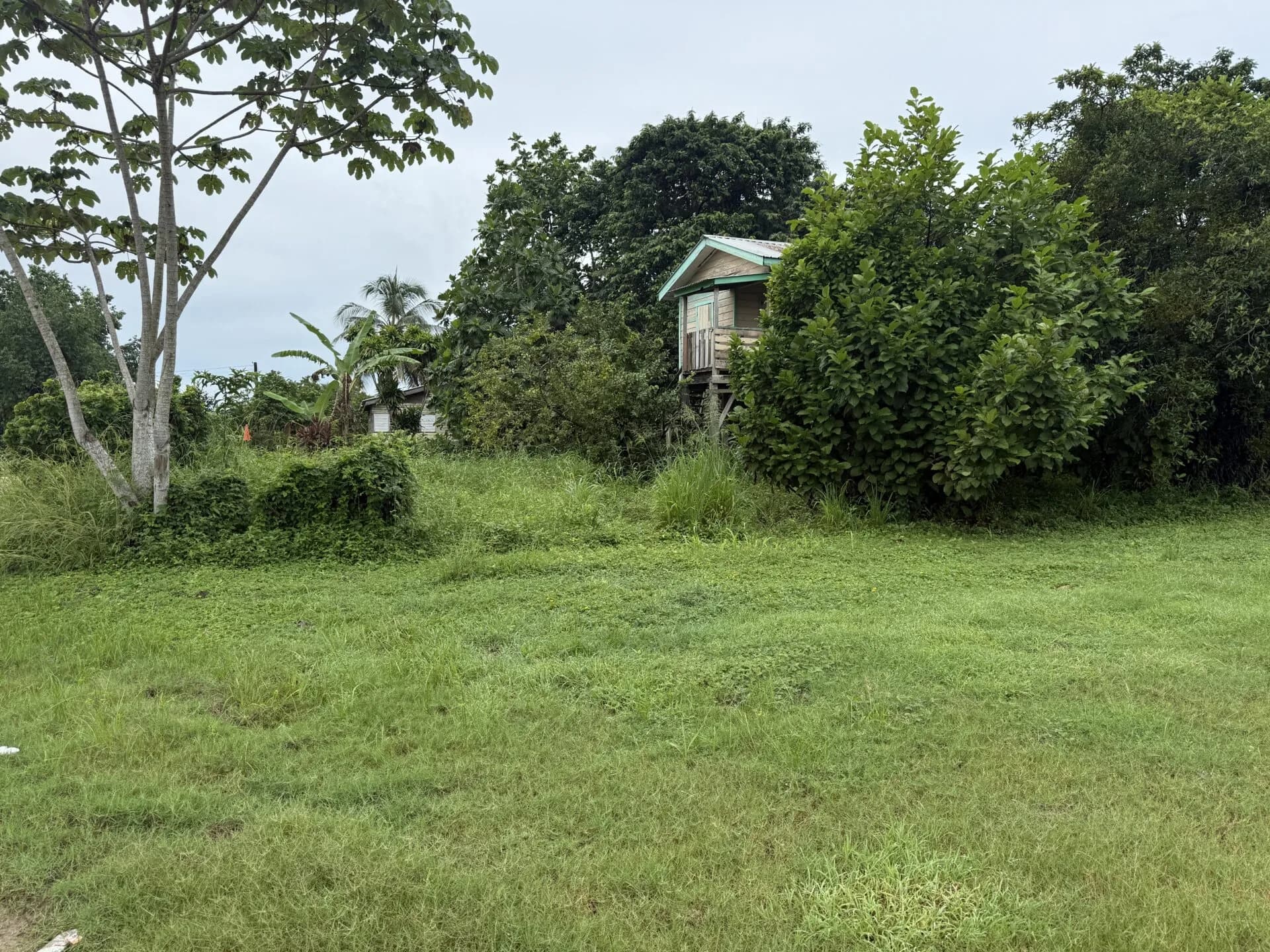 PL0225 – Road Frontage Double Lot with Home in Sarawee Village Near Dangriga - Photo 5