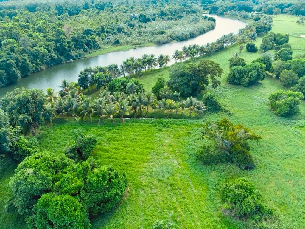 PL0119 – Sittee River Orchard Estate – Exclusive Lots for Sale Start – 39,900 USD - Photo 5