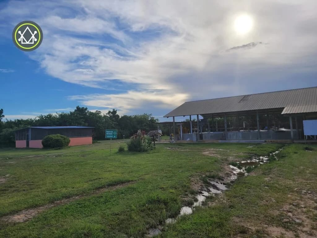 PF0023 – Banana Farm For Sale – Fully operational