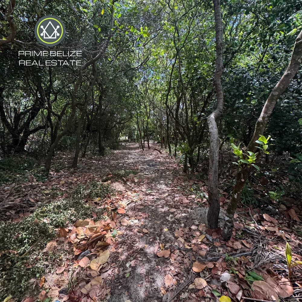 PL0233 – RARE 150FT Beachfront in desired Surfside Area - Photo 6