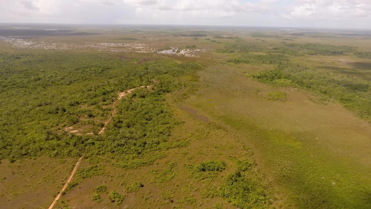 PF0004 – 1,456 acres – Near Hattieville, Belize District